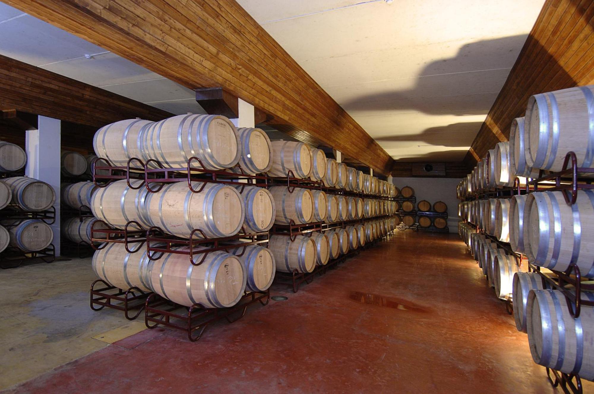 Vila Gale Alentejo Vineyard - Clube De Campo Albernoa Luaran gambar