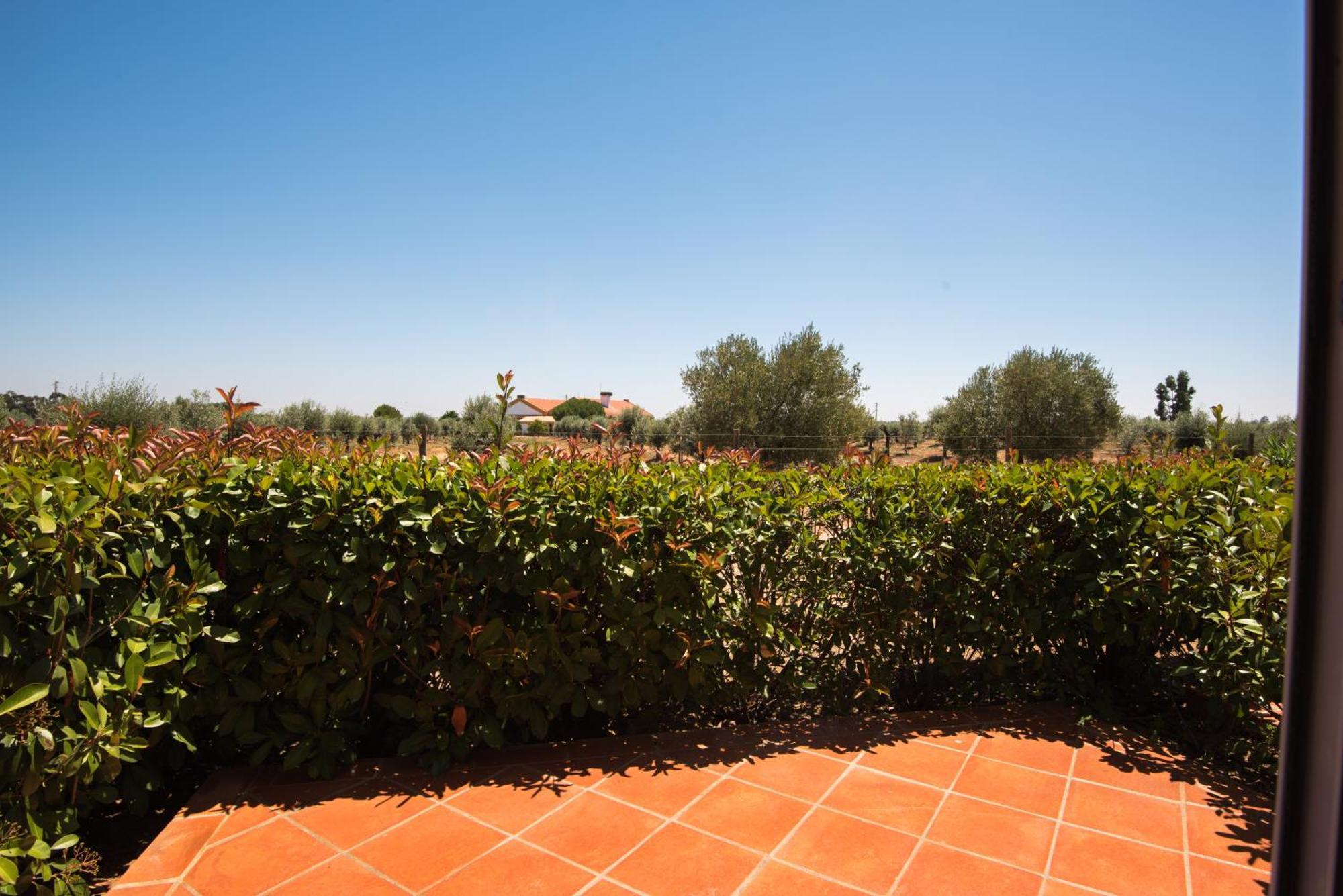 Vila Gale Alentejo Vineyard - Clube De Campo Albernoa Luaran gambar