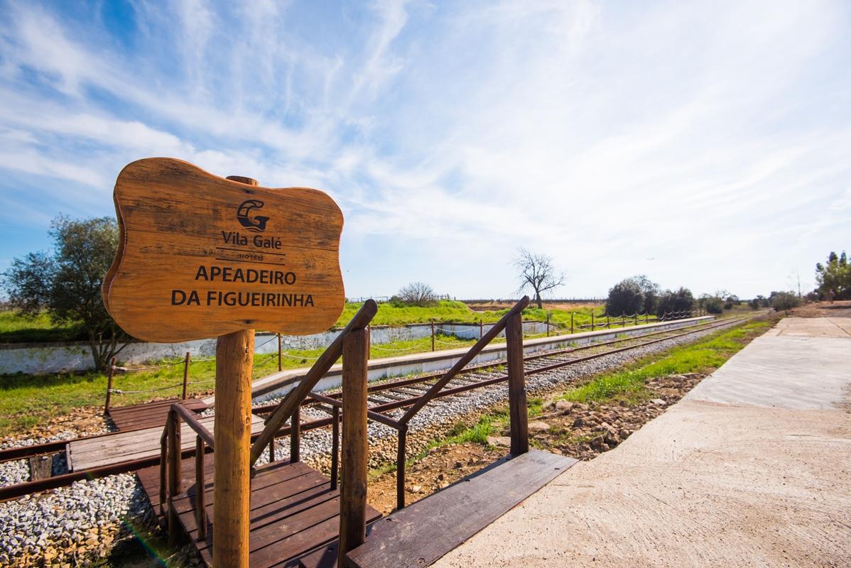 Vila Gale Alentejo Vineyard - Clube De Campo Albernoa Luaran gambar