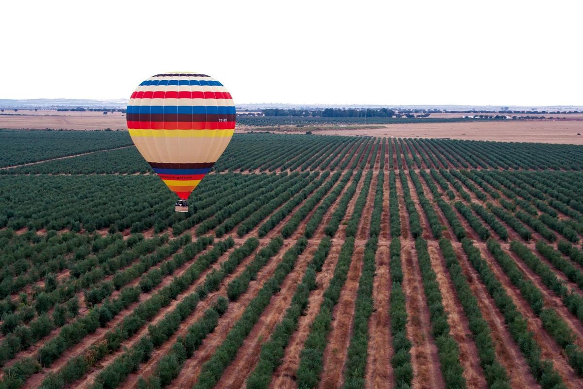 Vila Gale Alentejo Vineyard - Clube De Campo Albernoa Luaran gambar