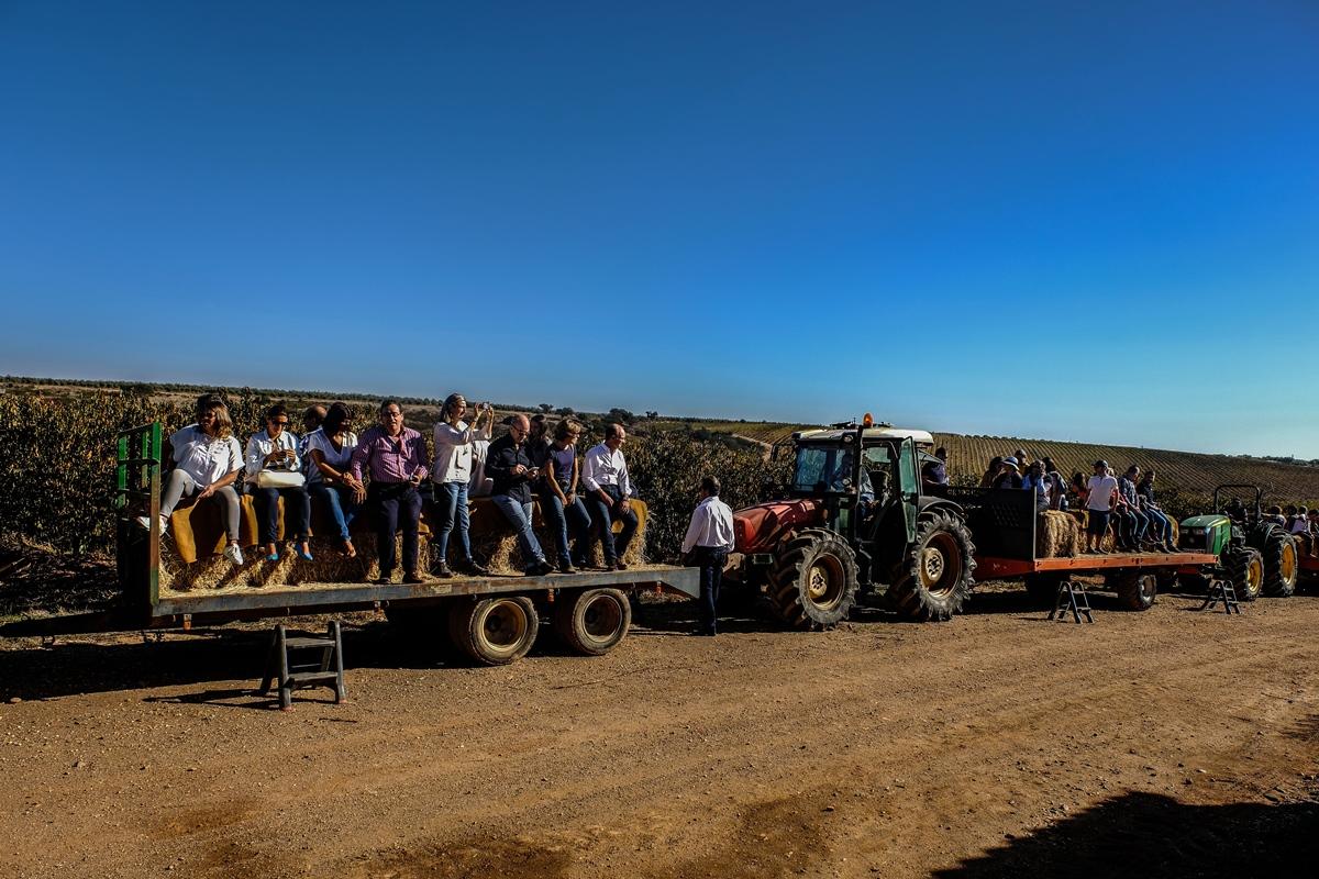 Vila Gale Alentejo Vineyard - Clube De Campo Albernoa Luaran gambar