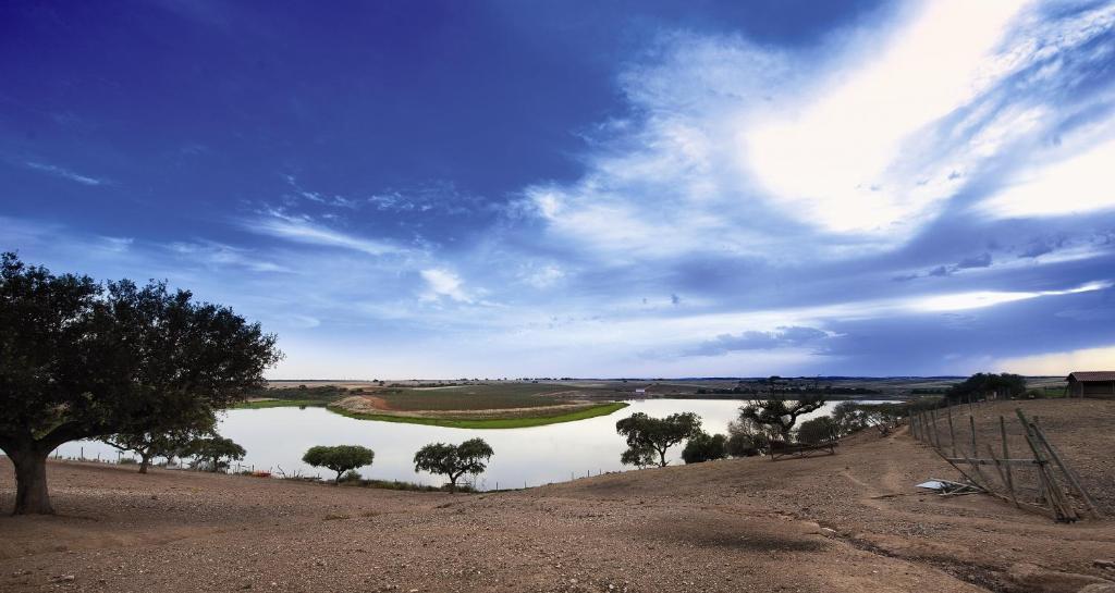 Vila Gale Alentejo Vineyard - Clube De Campo Albernoa Luaran gambar
