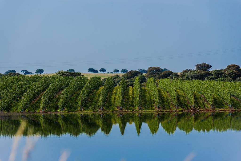 Vila Gale Alentejo Vineyard - Clube De Campo Albernoa Luaran gambar