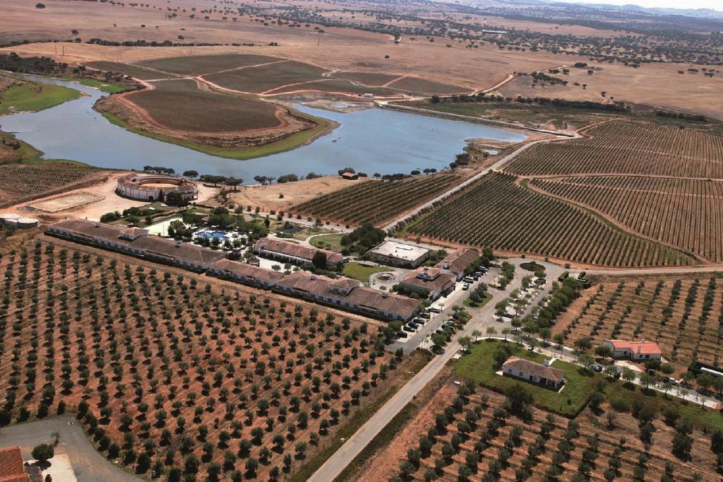 Vila Gale Alentejo Vineyard - Clube De Campo Albernoa Luaran gambar